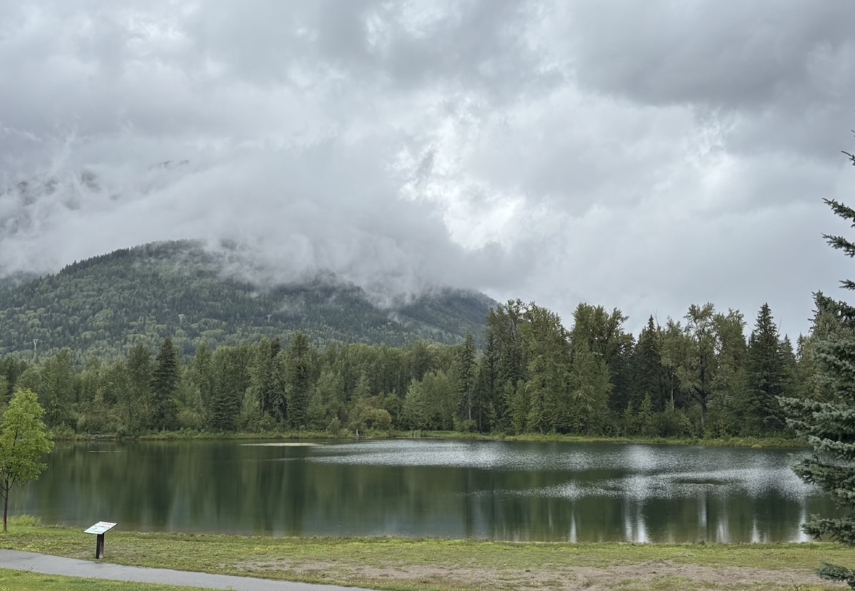 Maiden Lake looking North. 1pm, Saturday, August 16th, 2025.