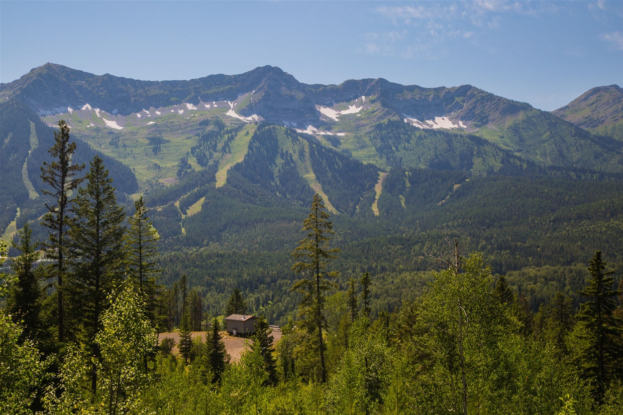 Montane section of the Elk Valley Community Trail