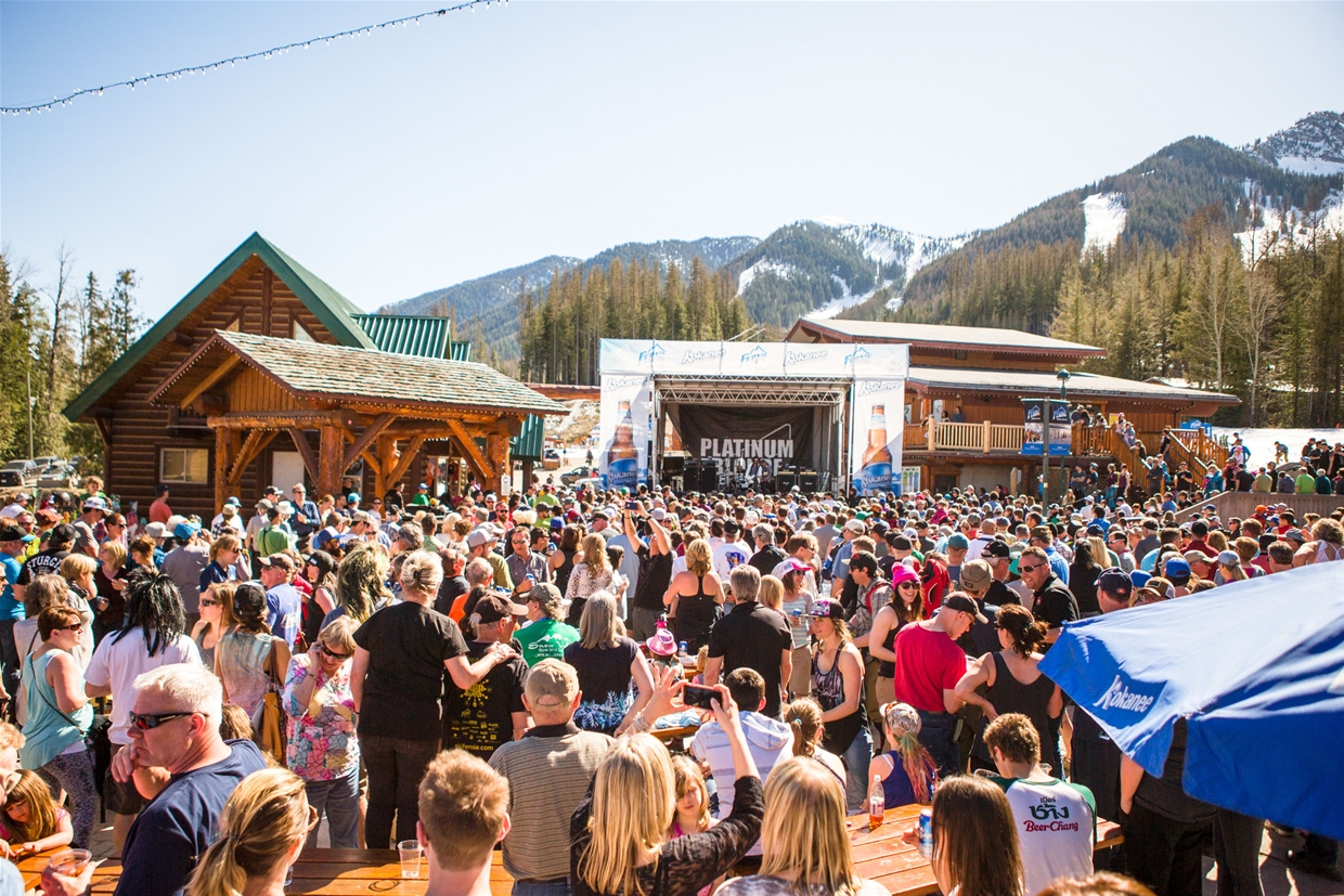 Live Music at Fernival