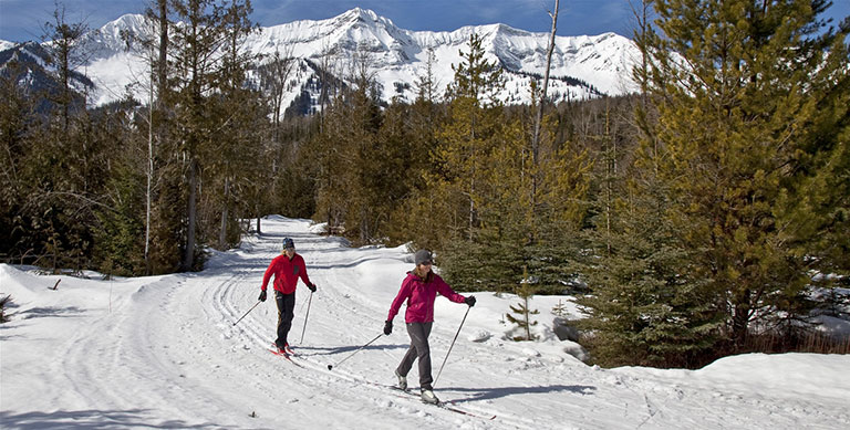 Nordic skiing