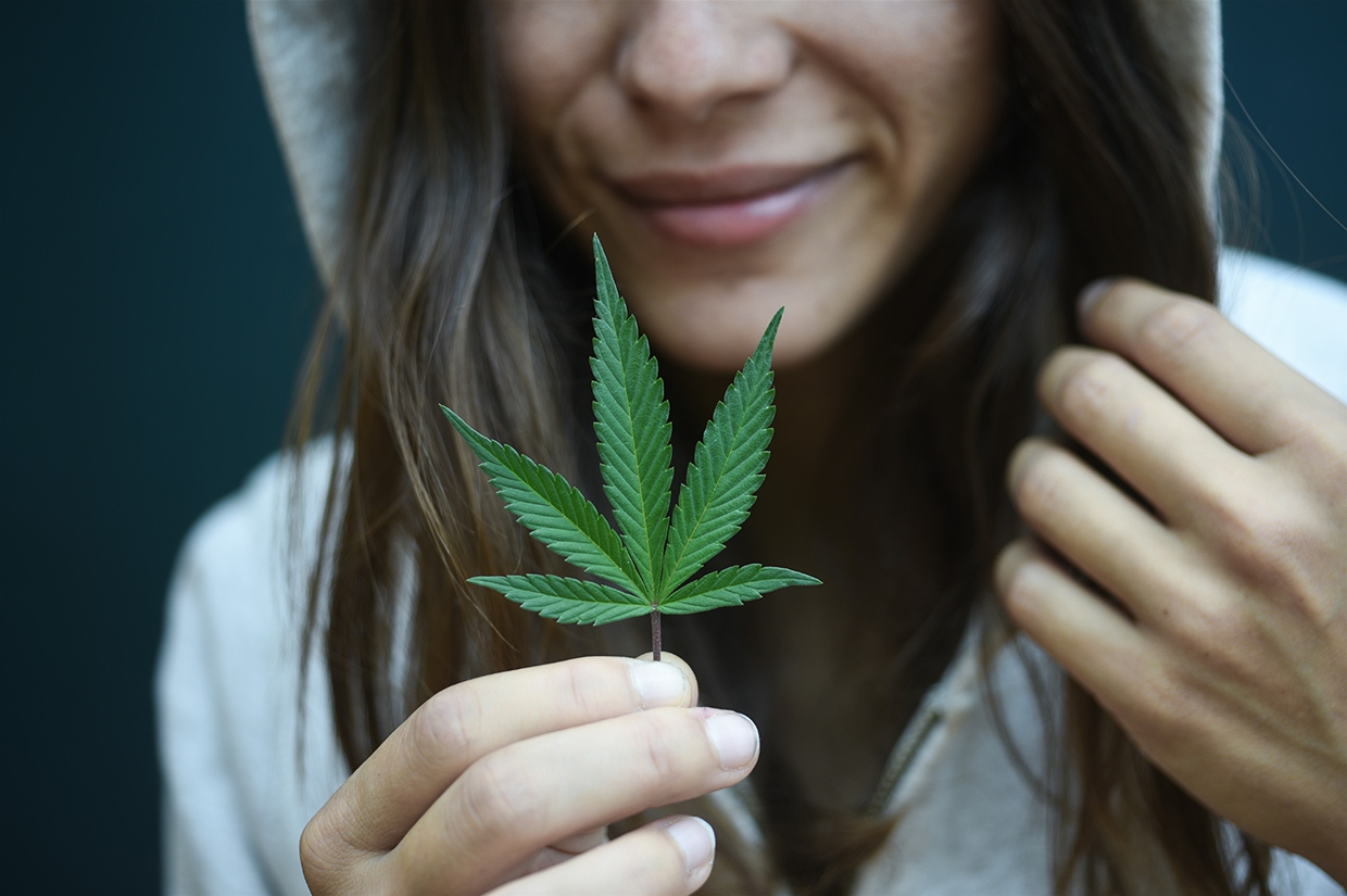 Marijuana is legal in Canada - Know the laws around it
