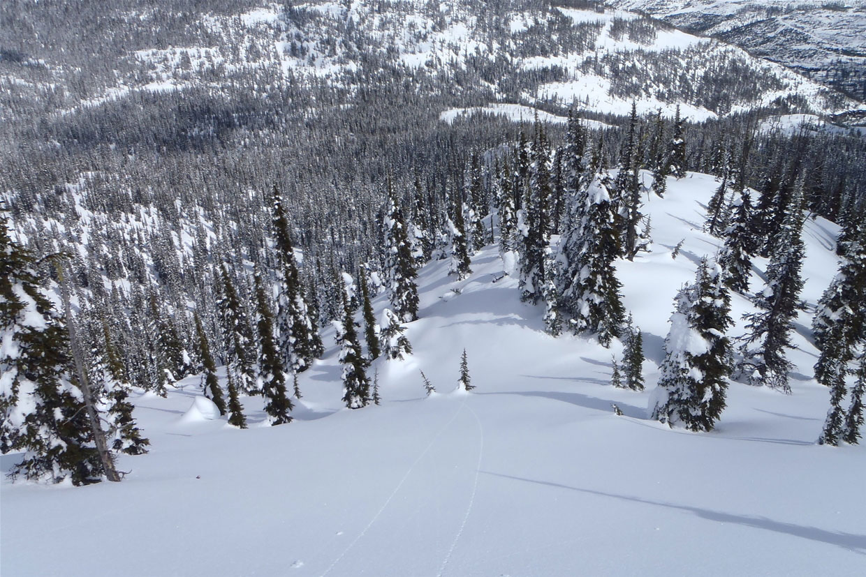 Fresh tracks