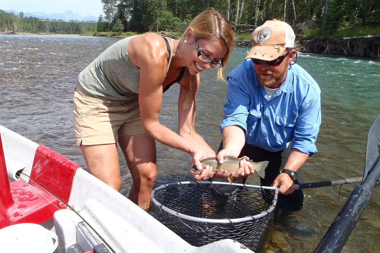 Dry Fly Fishing