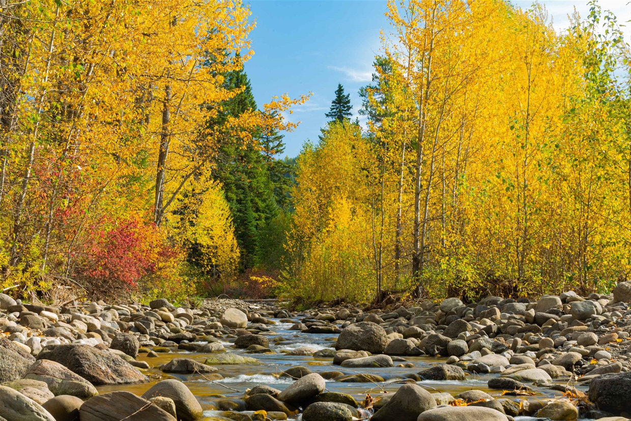 Coal Creek