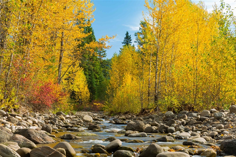 Coal Creek