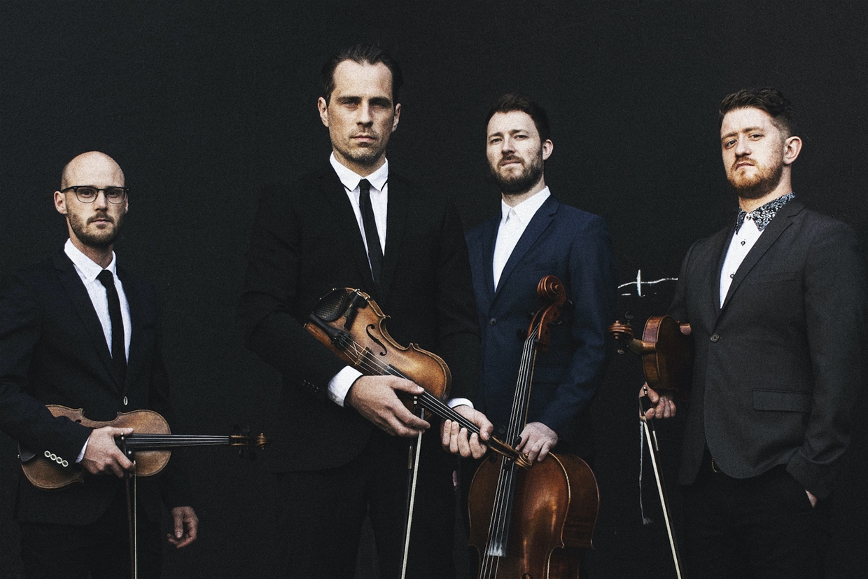 The Fretless
