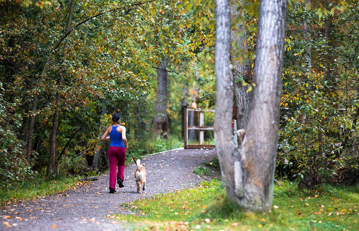 Annex Park