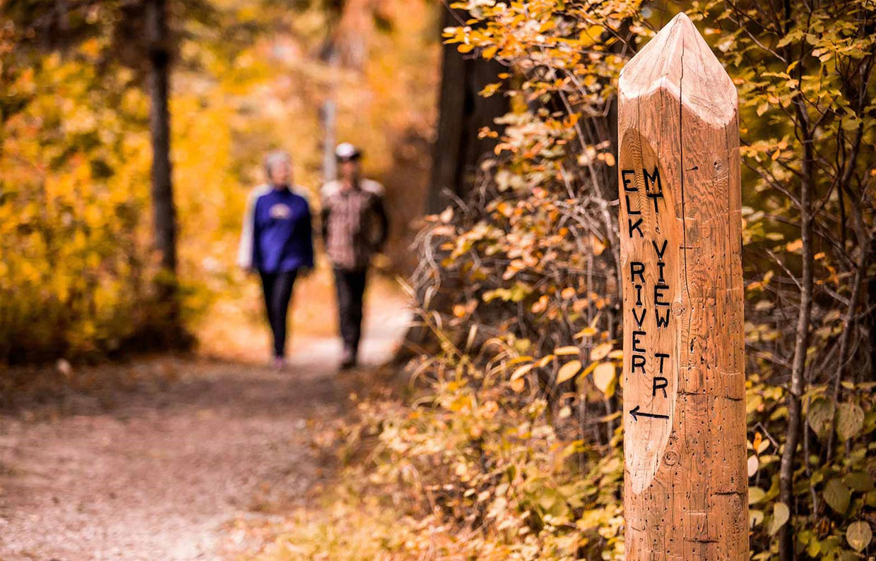 Trail markers