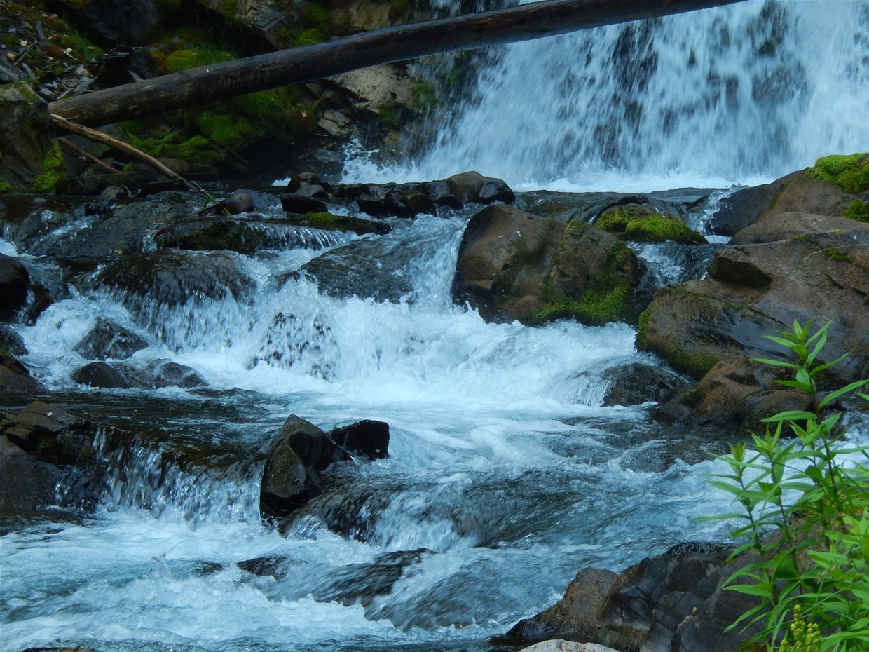 Fairy Creek Falls