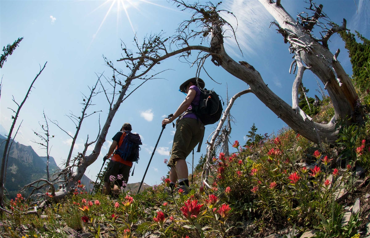 Heiko's Trail