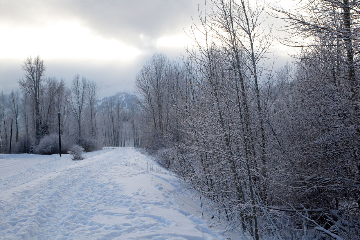Winter walking