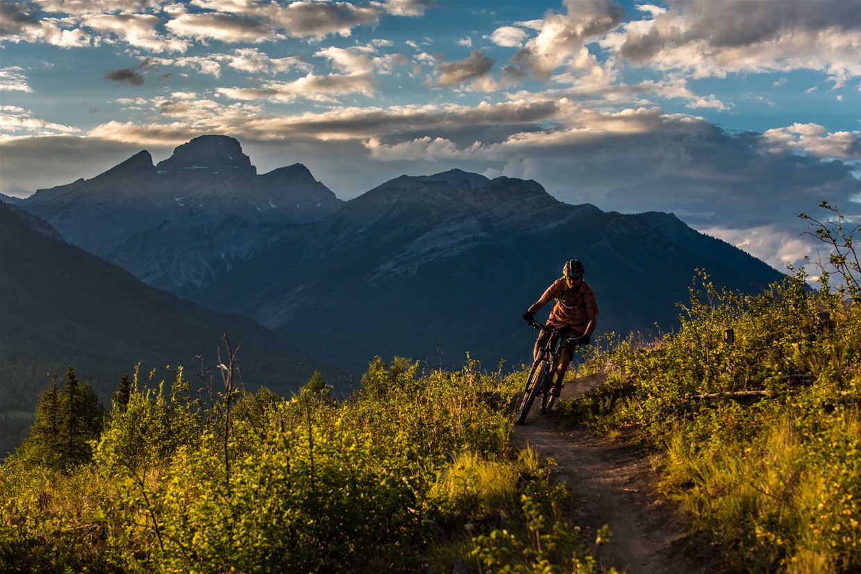 Summer Riding