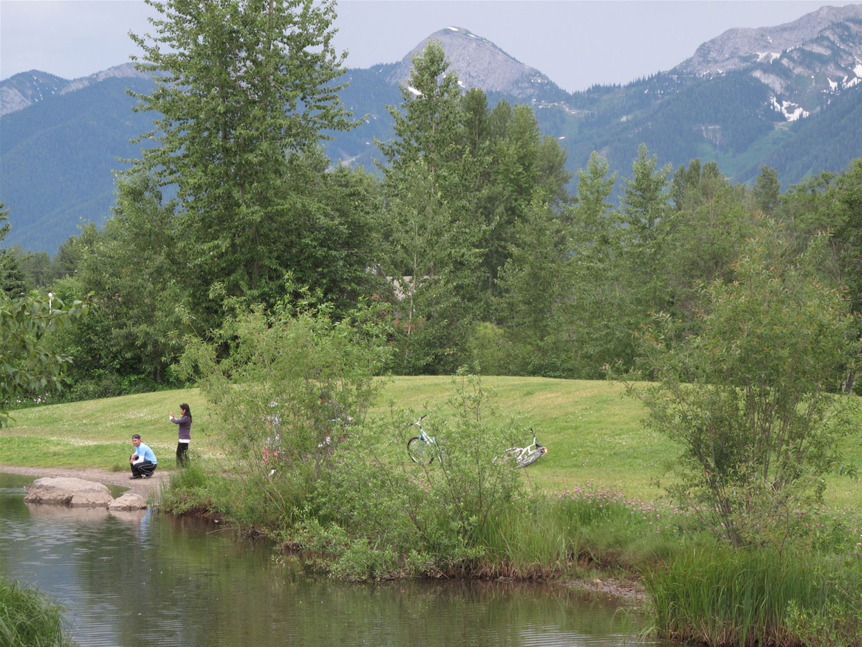 Annex Park 