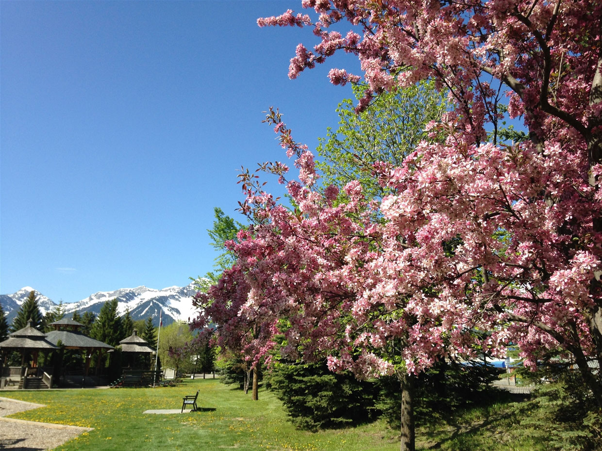 Rotary Park 