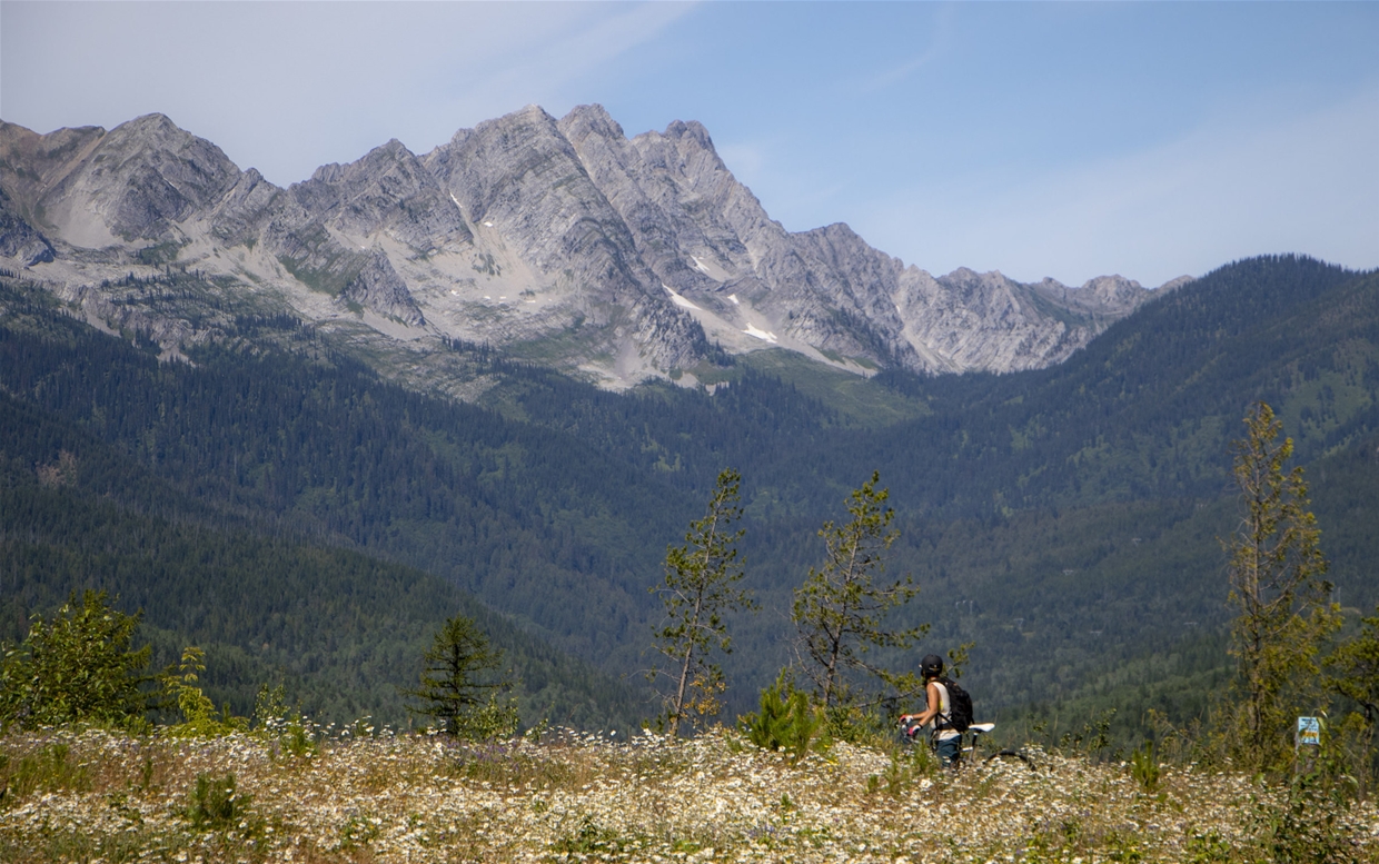 Montane trails