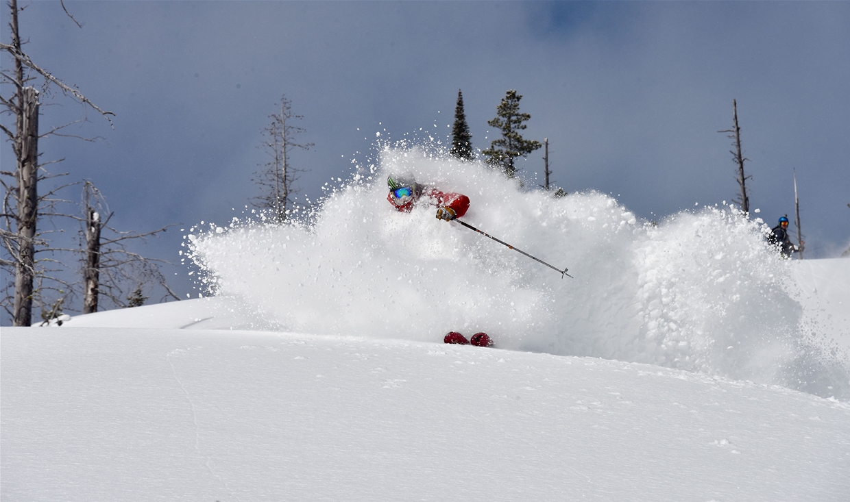 FWA Catskiing - Fresh powder turns