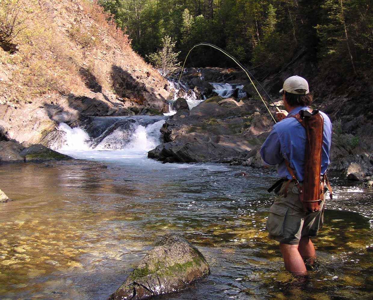 Let the guides show you the best spots 