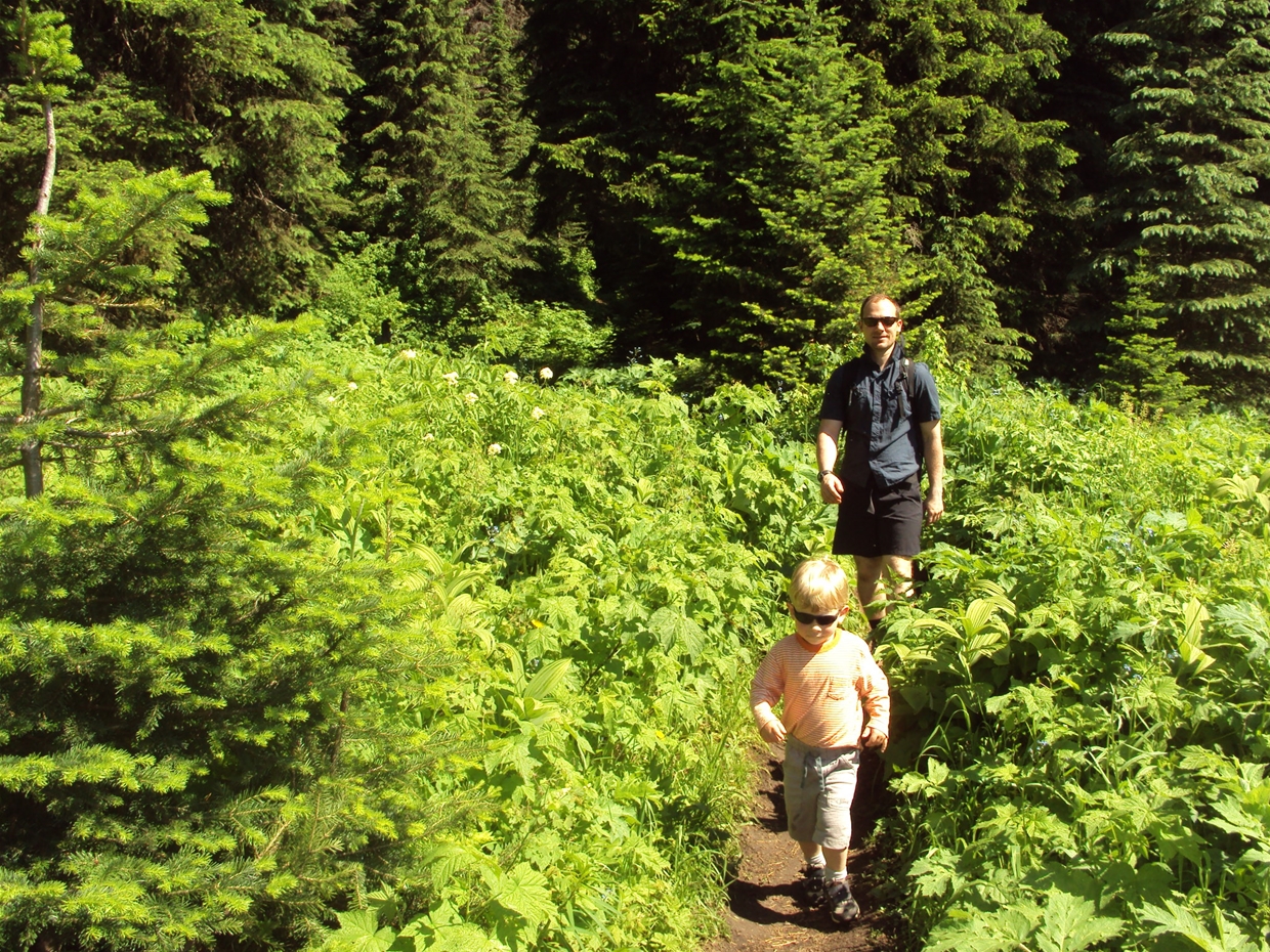 Island Lake Trail