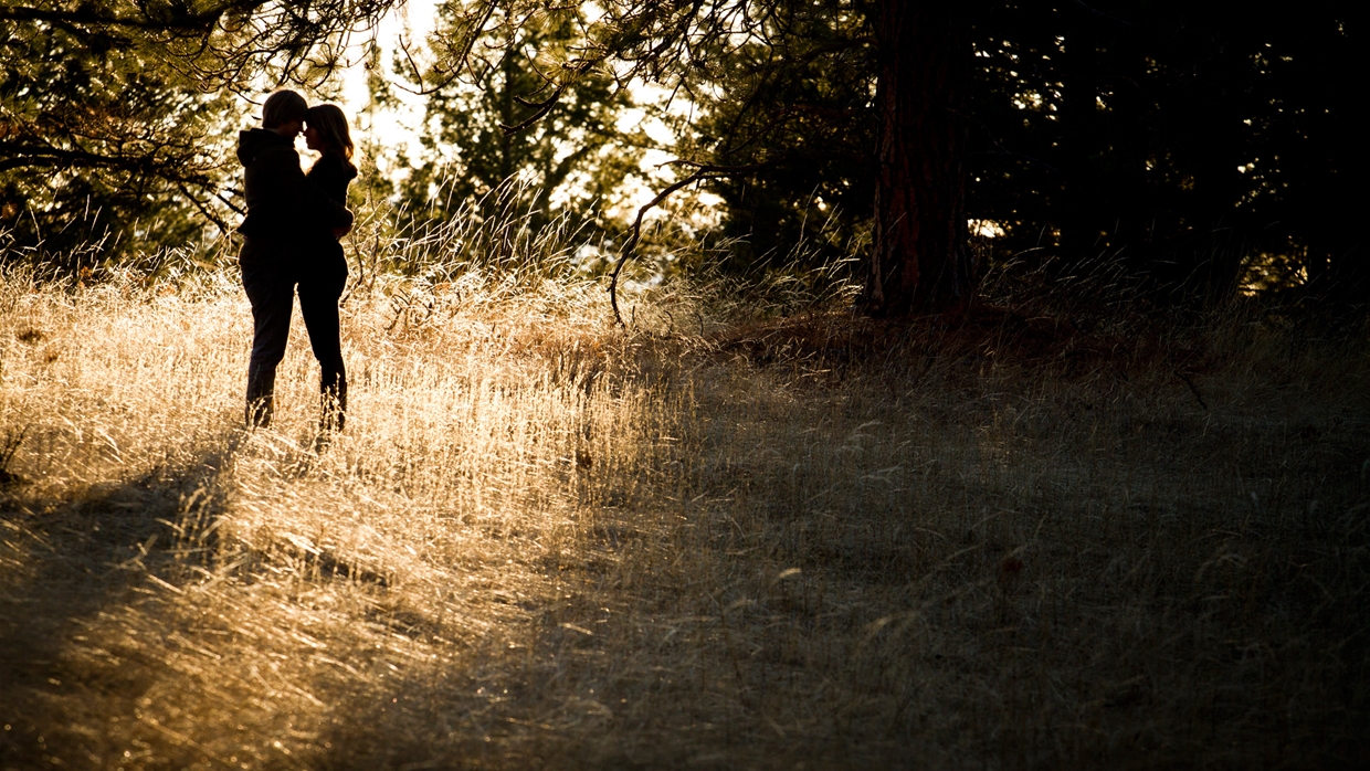 Engagement sessions