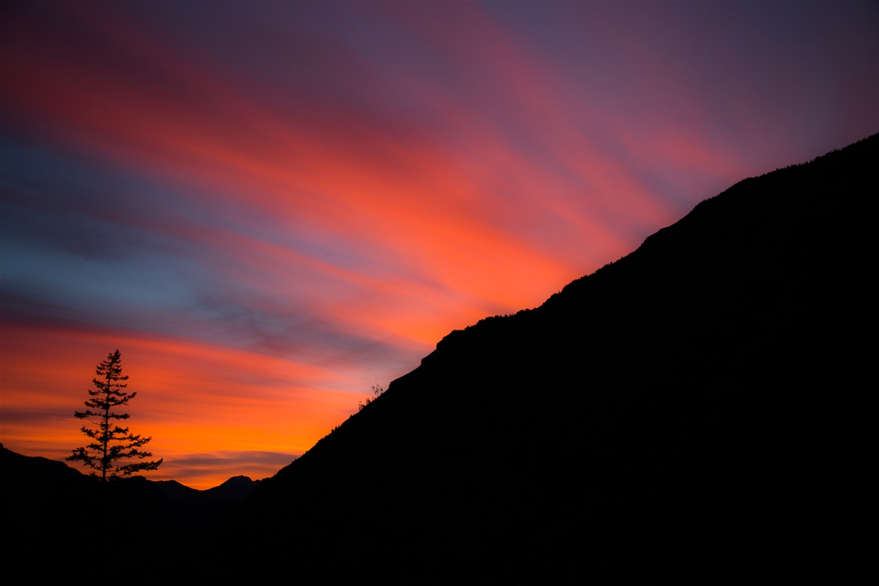 Landscapes