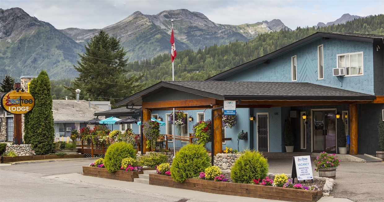 Summer at Red Tree Lodge