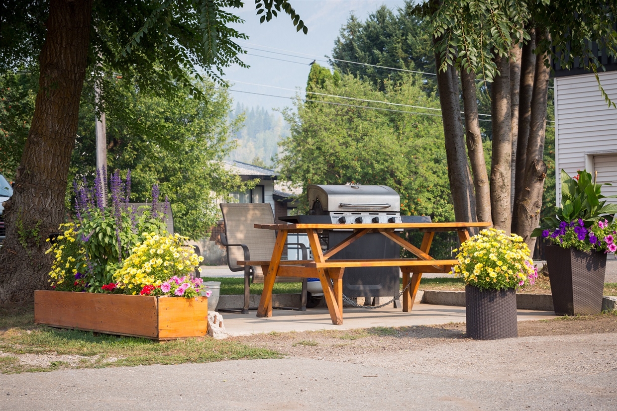 Outdoor BBQ and Picnic Area