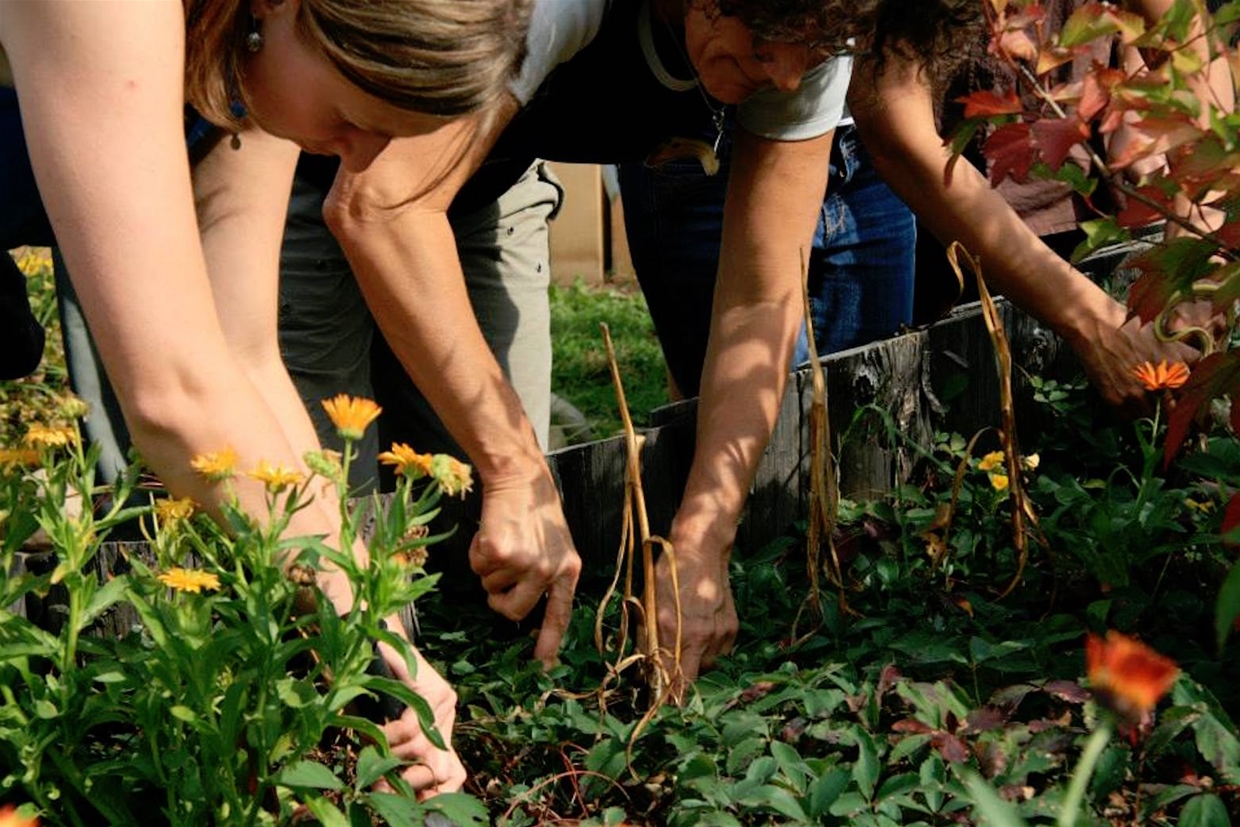 Gardeners