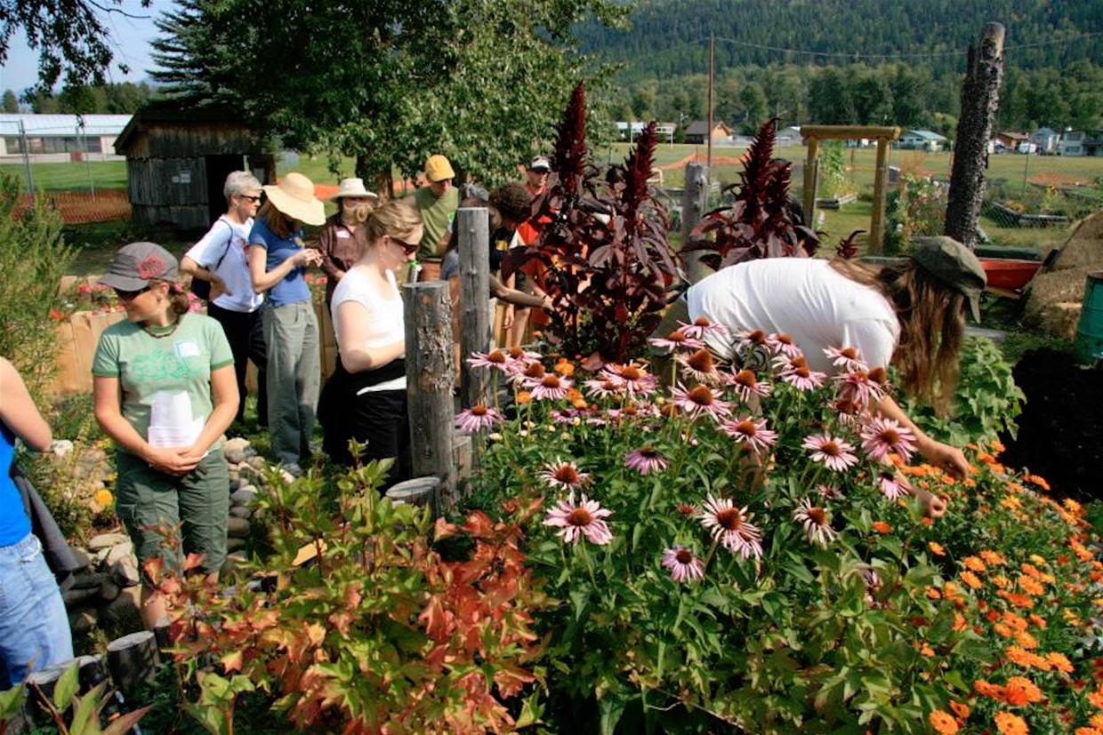 Ecogarden flowers
