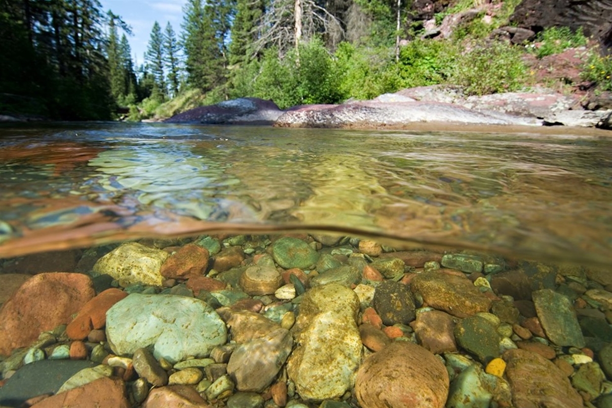 River Life
